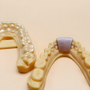 3D Printed Model